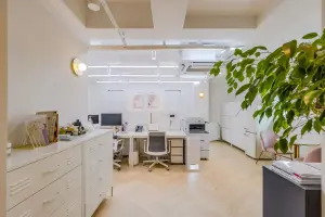 플랜테리어가 돋보이는 화이트톤 오픈 오피스